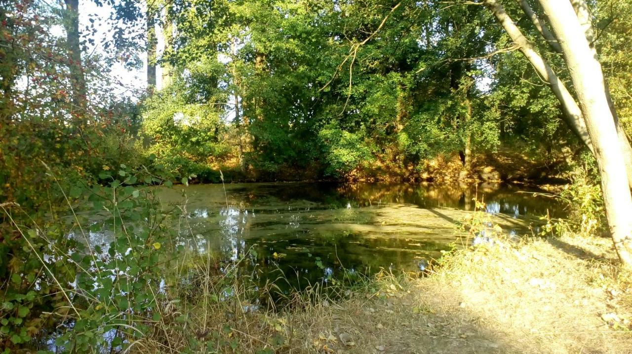 Ferienhof Mies Steffenshof Bagian luar foto